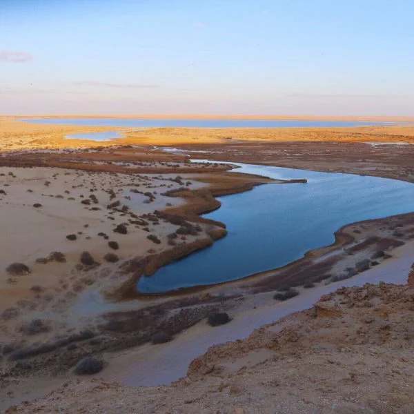 Fayoum Oasis