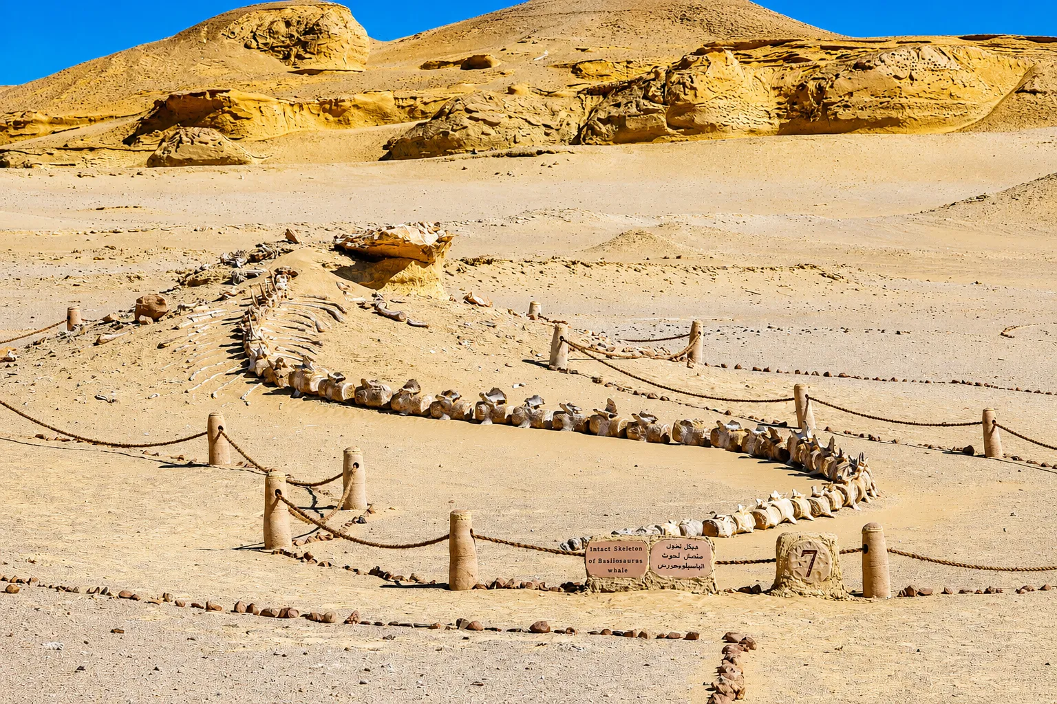 Wadi El Hitan