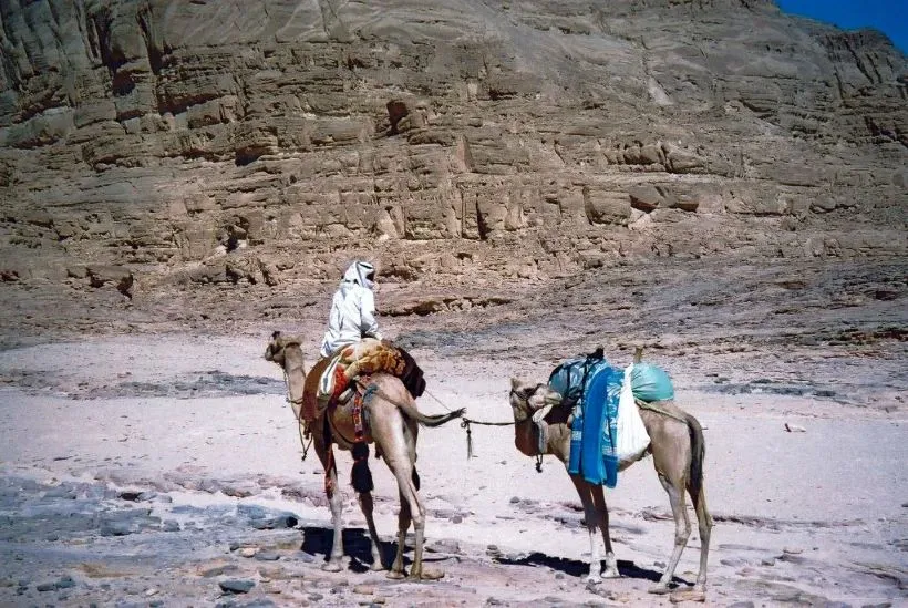 Wadi Ghazala