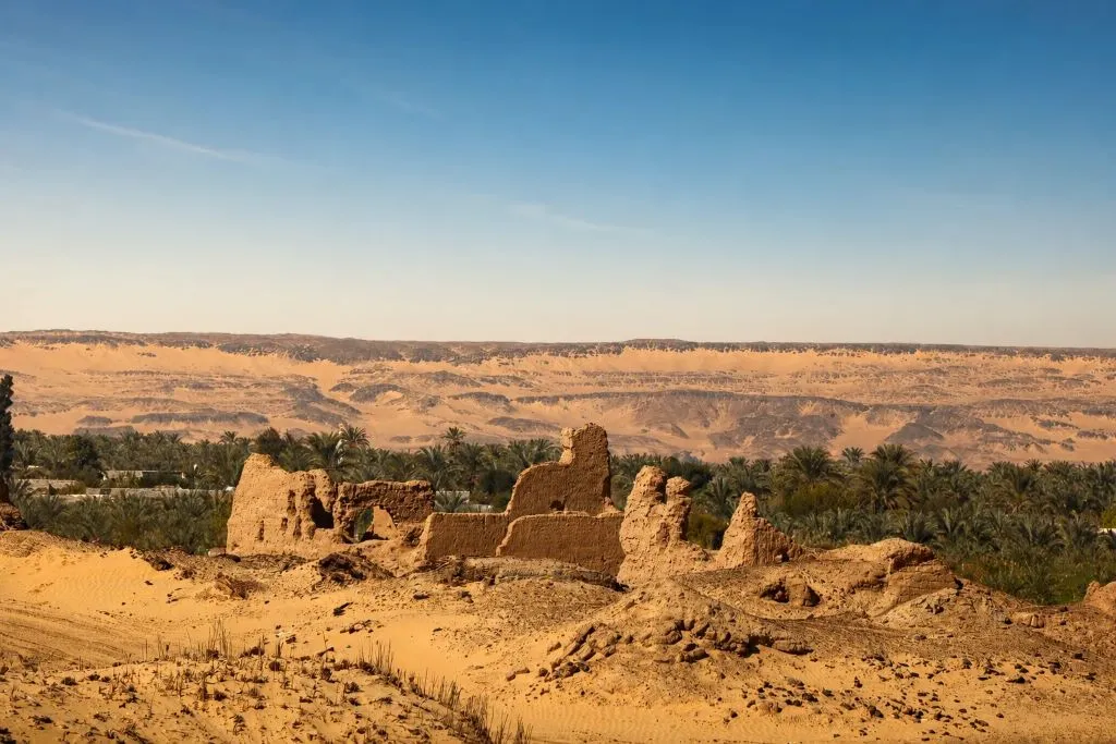 Bahariya Oasis Egypt