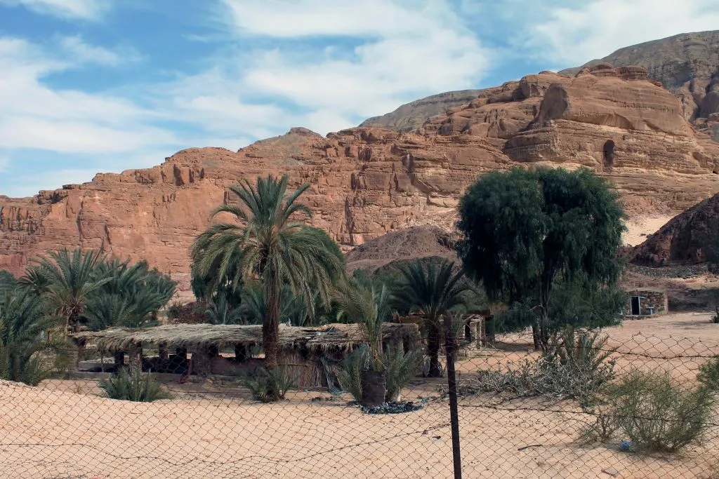 Ain Khudra Oasis