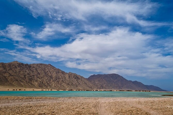 Ras Abu Galum A Unique Natural Reserve in Sinai