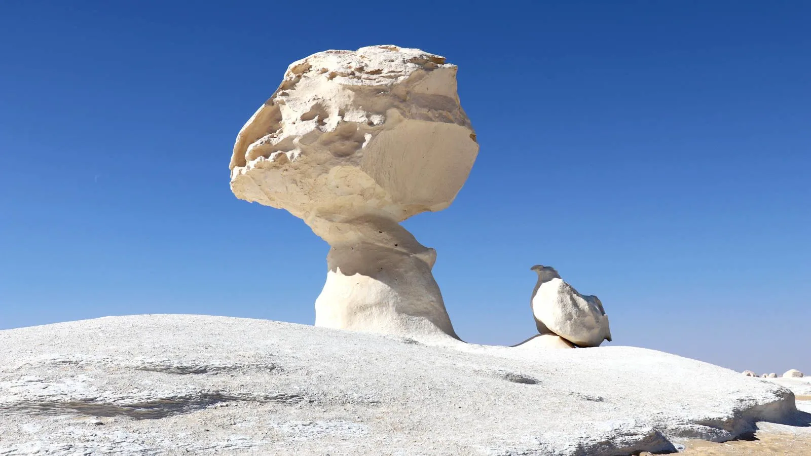 The White Desert National Park