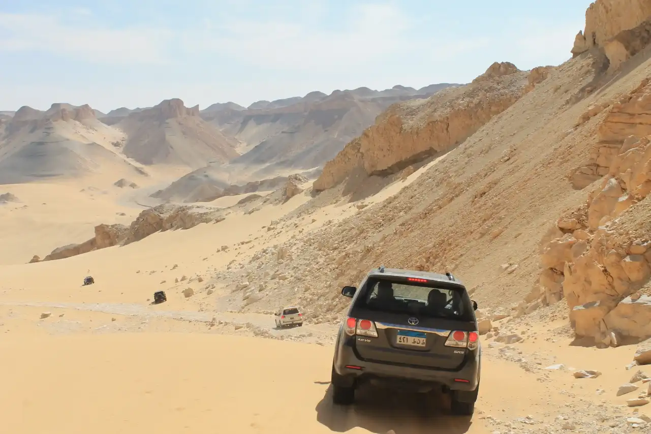 Western Desert Oasis
