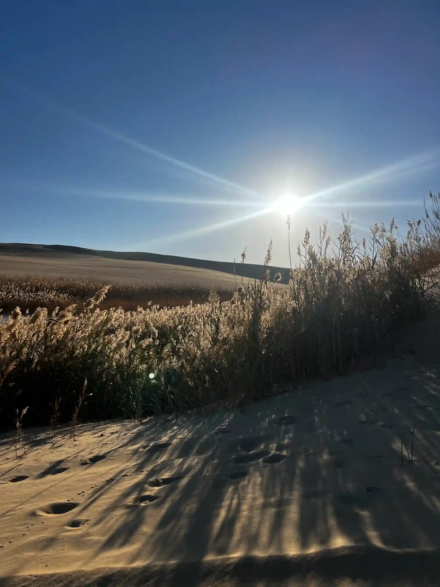 3-Day Siwa Oasis Tour from Cairo 3