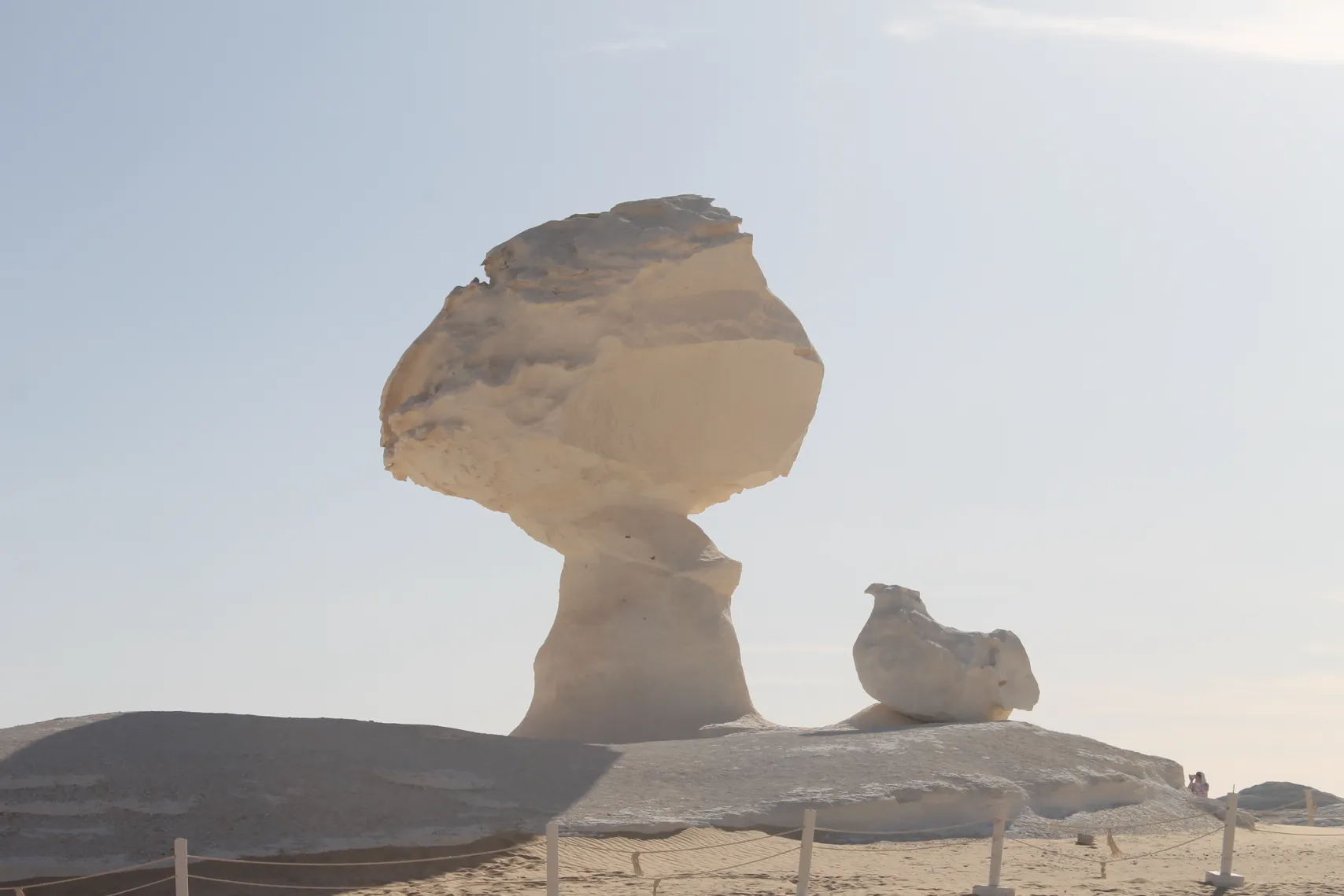 4-Day Western Desert Tour | White Desert & Djara Cave Adventure 5